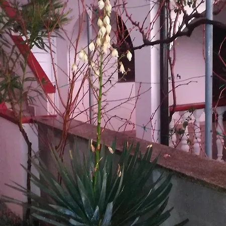 Vera No 2 Apartmán *